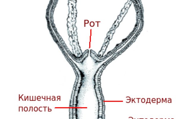 Кракен маркет что