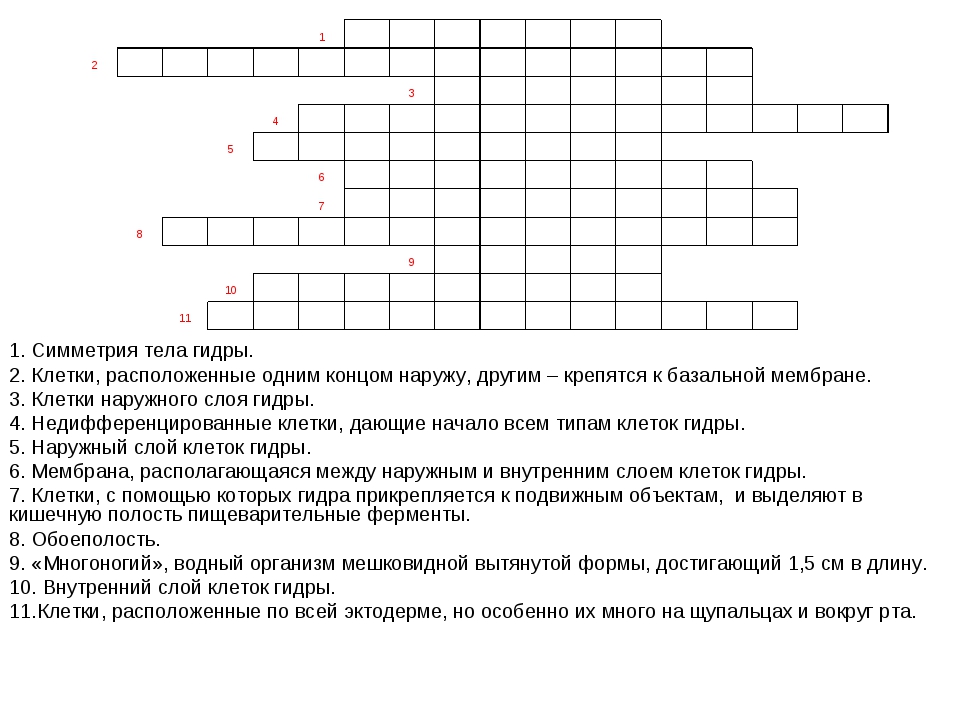 Скрытый интернет как войти